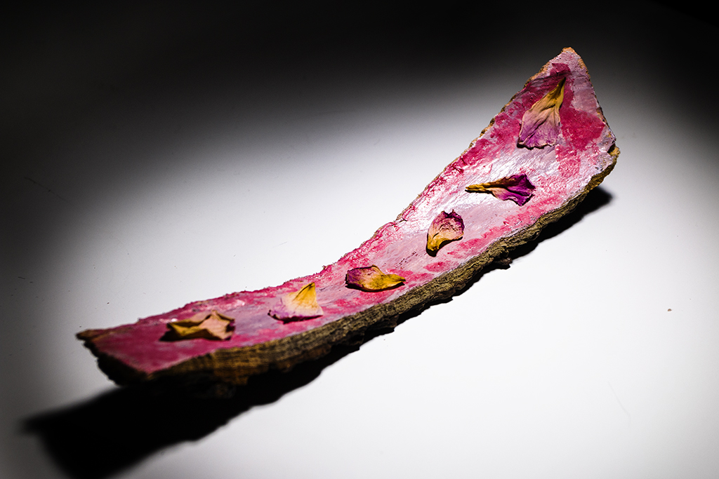 Painting on tree bark and rose